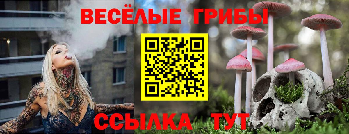 Галлюциногенные грибы MAGIC MUSHROOMS  Вход с VPN  Коммунар 